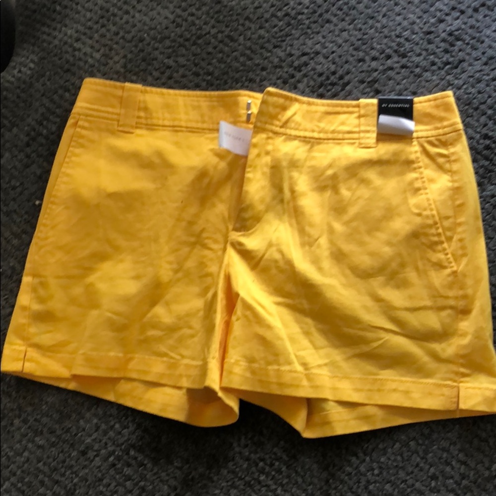 NY & CO shorts